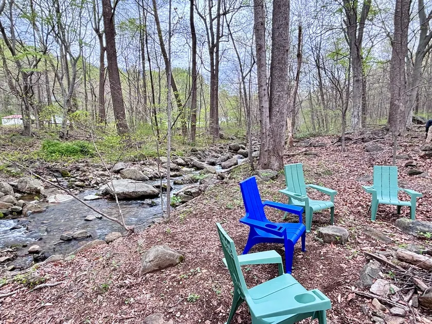 Riverfront • 10 acre woods • 4BR 3BA • sleeps 10 - Image 1
