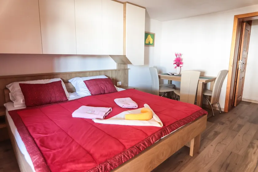 Standard Studio at EcoTourism Viženčar on Krvavec - Image 1