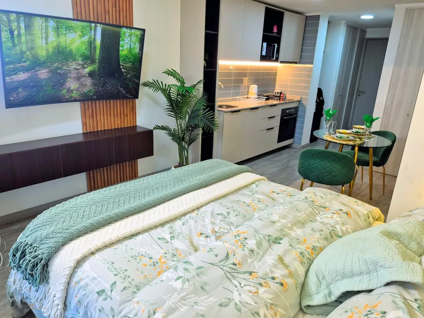 Beautiful suite, Wifi, Smart TV, Gym. - Image 1