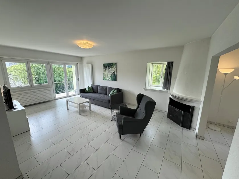 Lake view - 4.5 rms, close to Zurich city, parking - Image 1