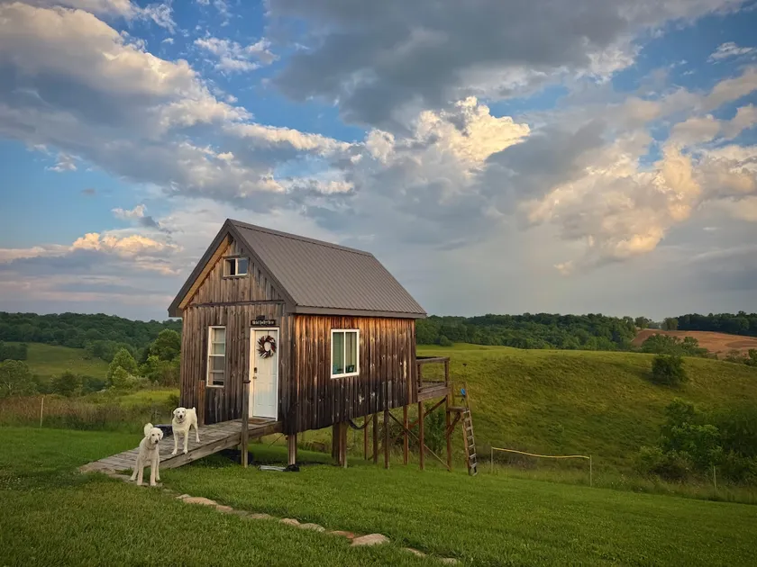 Nickel Valley View Cabin - Image 1