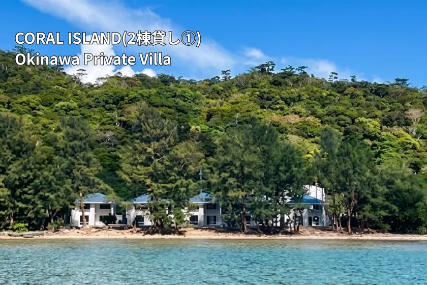 [2 buildings for rent, maximum 12 people, ocean view, jacuzzi, beach 5 seconds on foot, BBQ allowed, pets allowed] ① - Image 1