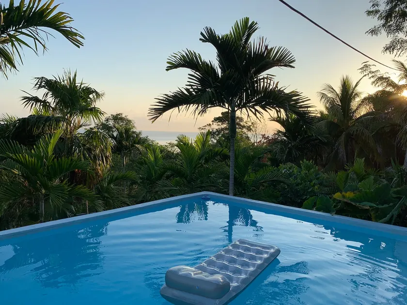 The Coconut Palm Villa ~Poolside Ocean View Suite - Image 1