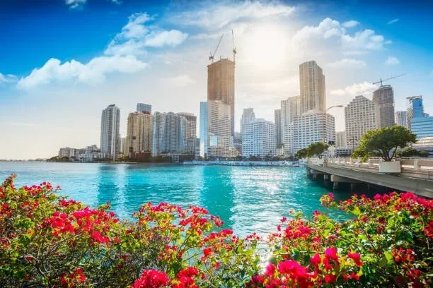 Amazing 1/1, GREAT Location! - Image 1