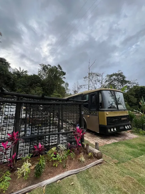 My Gold Bus - Image 1