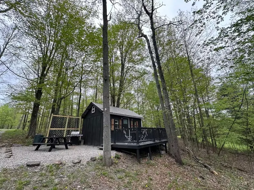 Little Bear Cabin! A serene retreat to get away! - Image 1