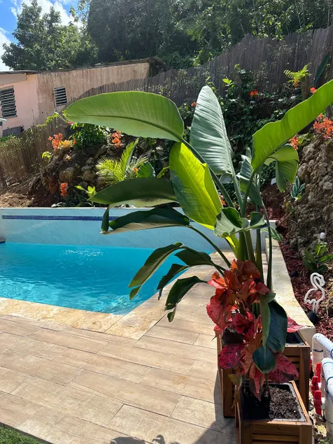 La Casita - Arecibo's Hidden Gem - Image 1