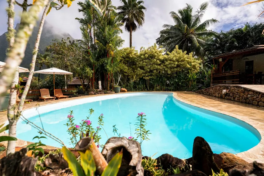 Bungalow in nature for 4 people - Image 1