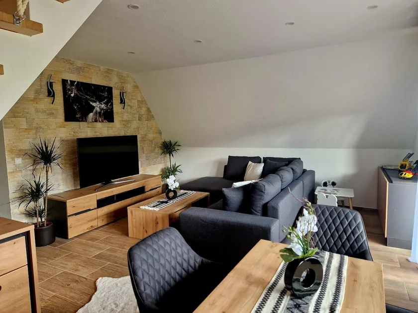 VilaMi apartment with pool, sauna, dogs welcome - Image 1