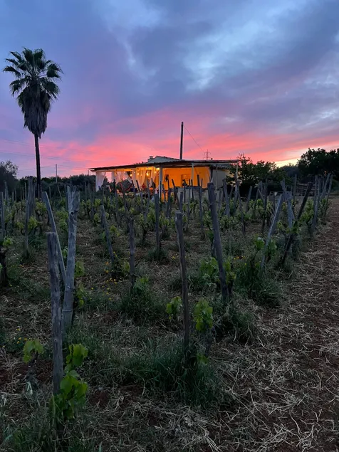 Cottage in the vineyard 10 minutes from Caltagirone - Image 1