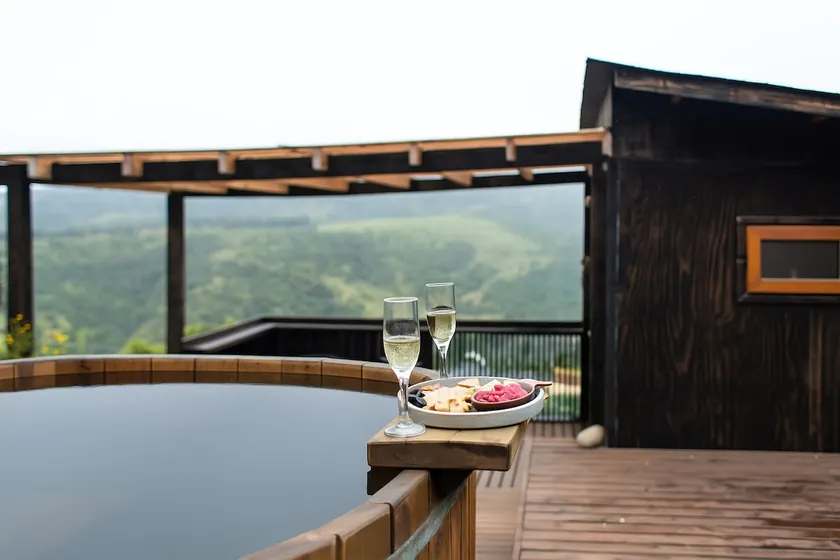 Amazing Tiny House with Hot Tub - Image 1