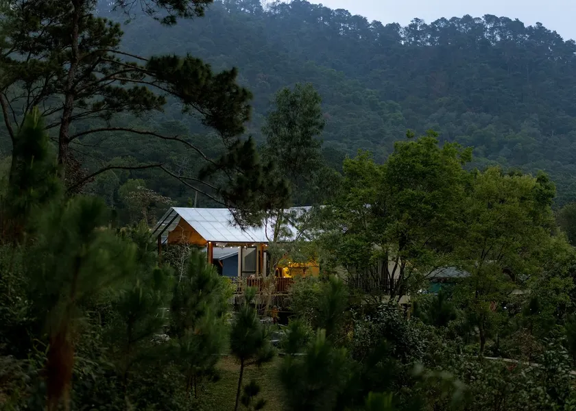 Quin House - Image 1