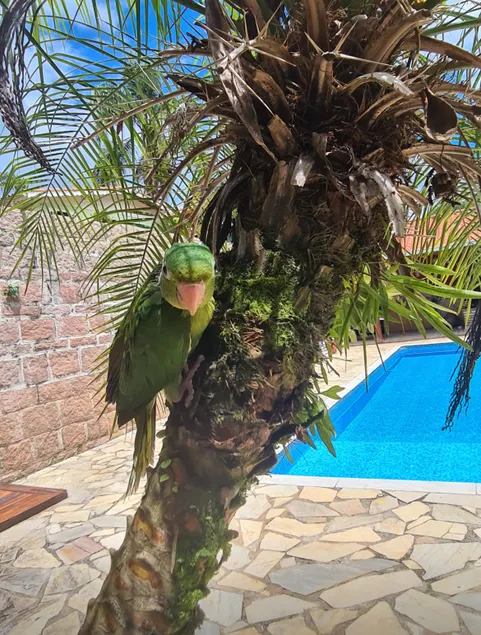 Recanto do Encanto - Image 1