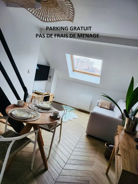Reims duplex apartment near the center - Image 1