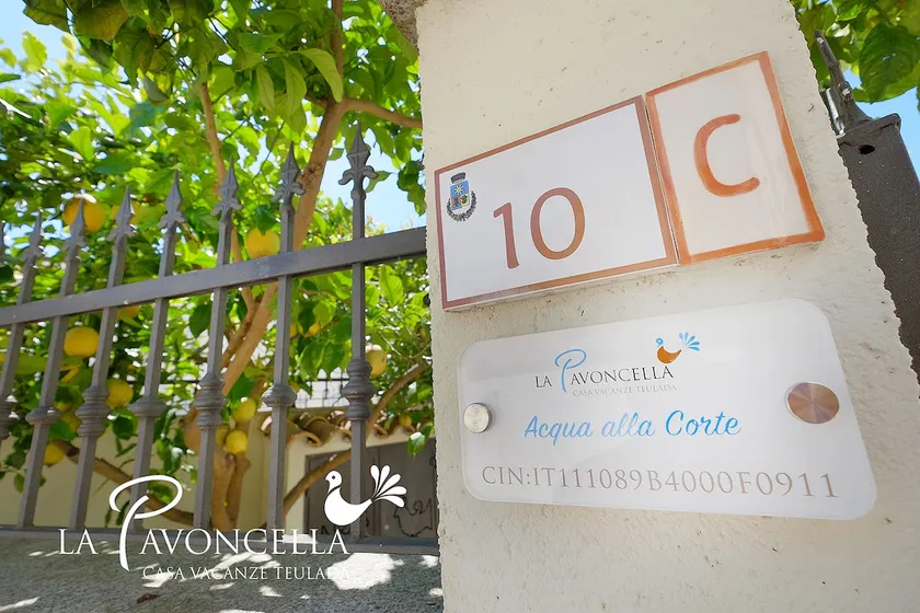 La Pavoncella (Water at the Court) - Image 1