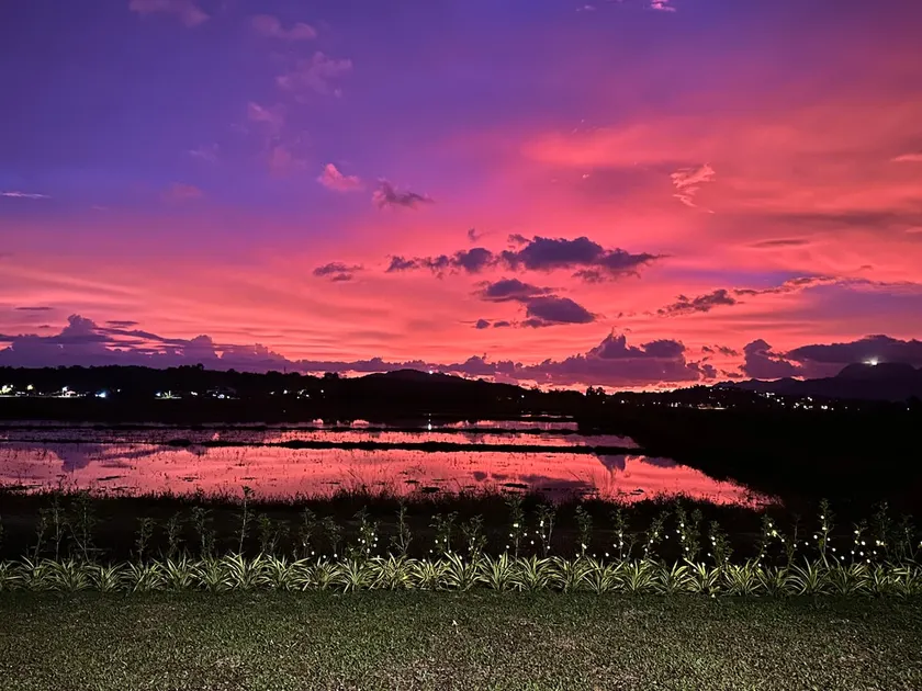 Private Pool | 3BR Villa | Sunset & Paddy View - Image 1