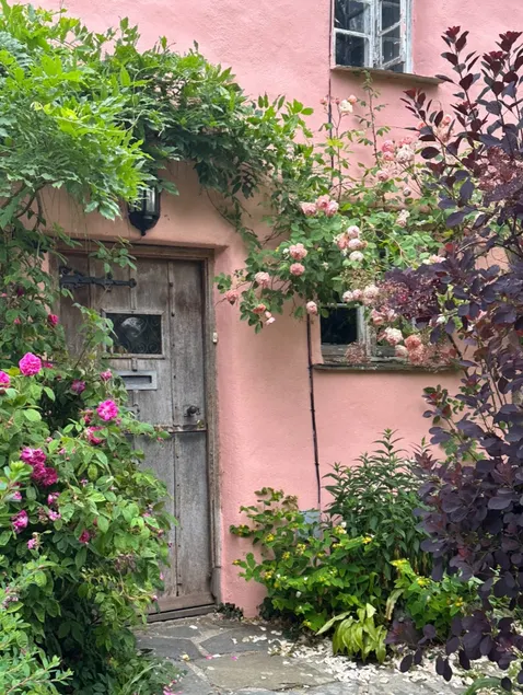 Lovely self contained cottage apt near Dartmoor. - Image 1