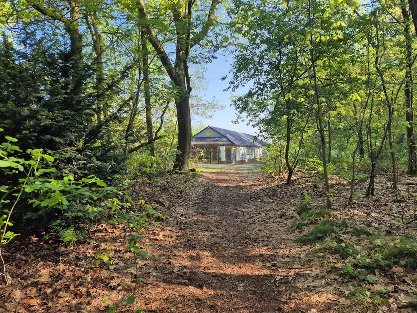 Holiday home ”Yellow Horse” in the middle of the woods - Image 1