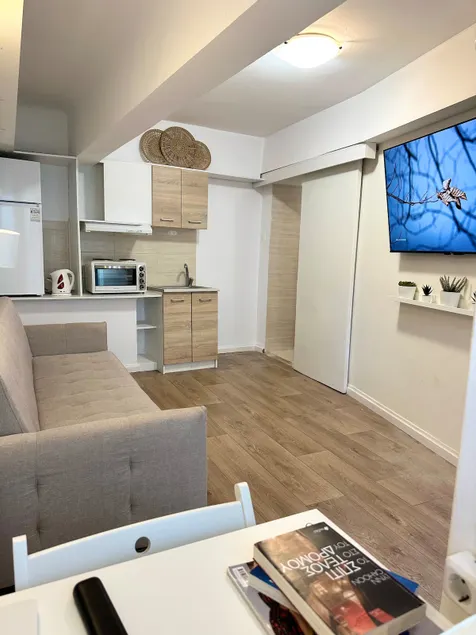 Cosy studio flat with outdoor space - Image 1