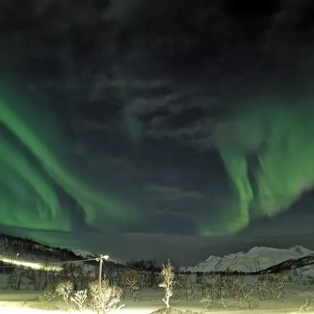 Live in the heart of the northern light - Image 1