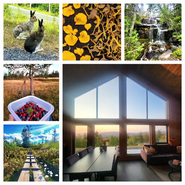 The Holiday - Panorama Lodge - Image 1