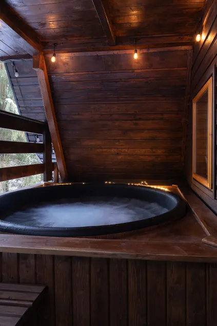 A cottage in the mountains with a hot tub and swimming pool, forest - Image 1