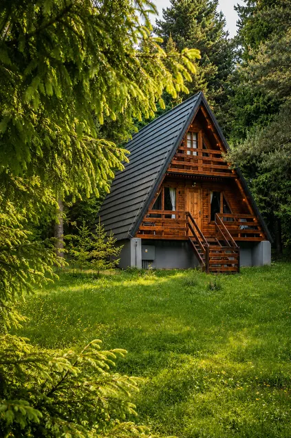Cabin in the mountains with a hot jacuzzi - Forest Idyllic - Image 1