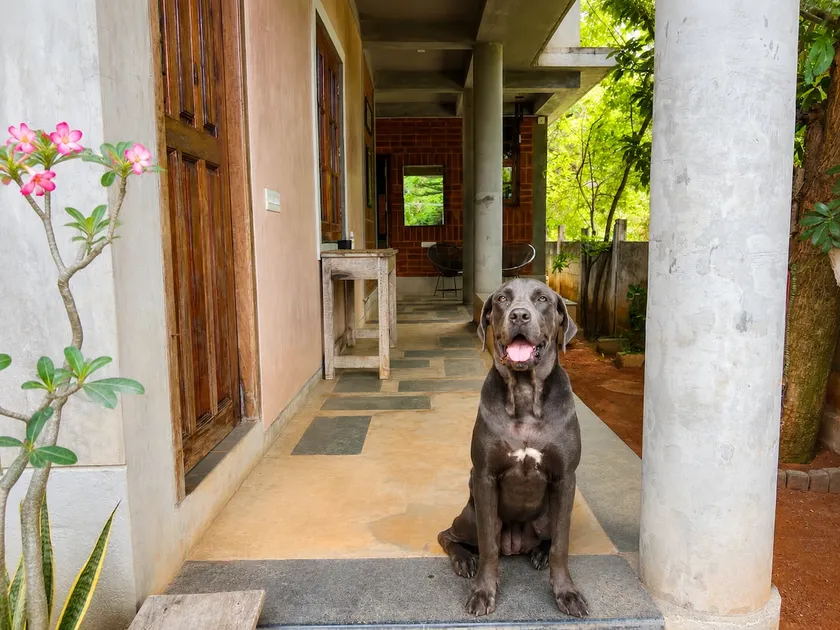 Dar Anna - Studio apartment - Image 1