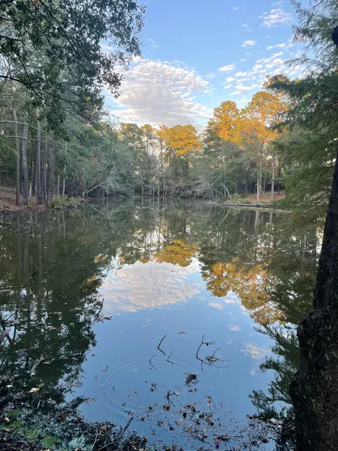 Secluded Cottage at a Pond - Image 1