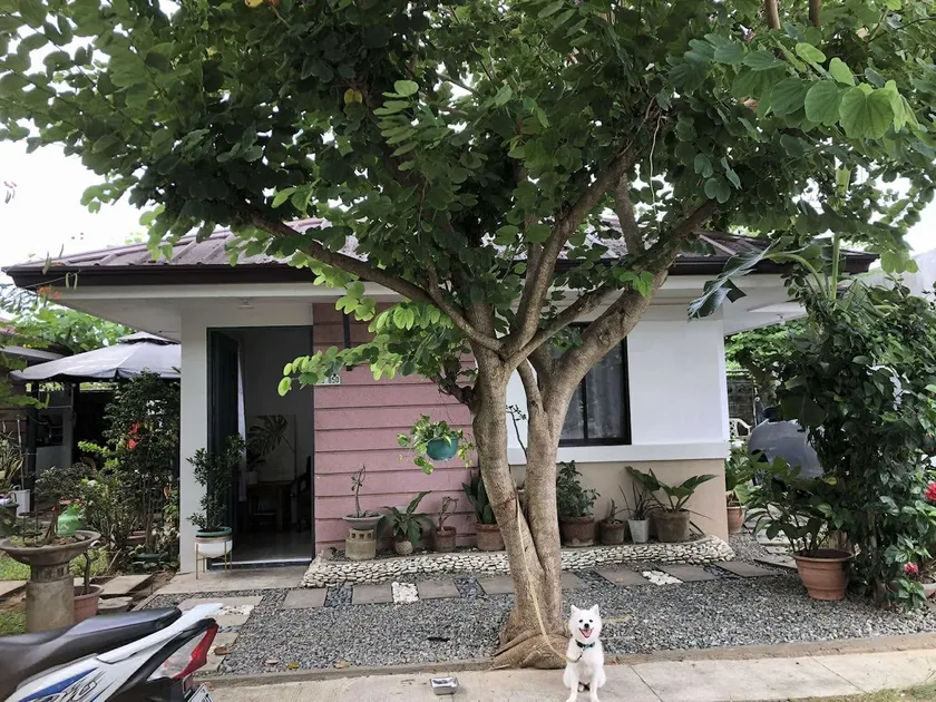Prince Tiny Home! - Image 1