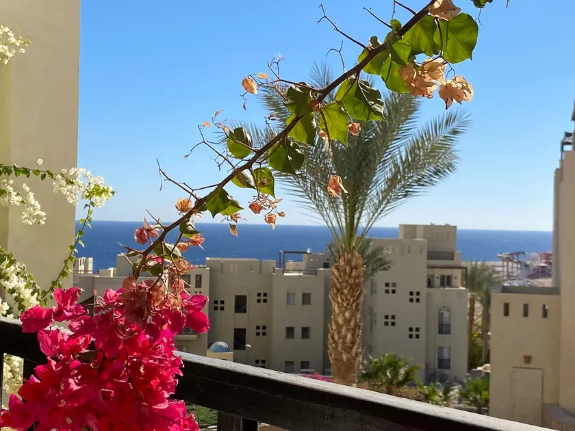 Cozy Suite in Azzurra Resort Sahl Hasheesh 95 SqM - Image 1