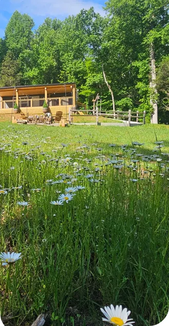 Private-peaceful- country-new-near Smoky Mtns. - Image 1