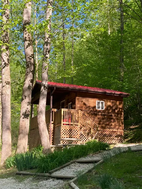 Sleepy Bear: Clamping Cabin on the RIver - Image 1