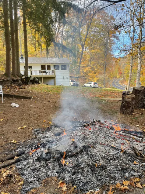 The Redbud Cottage in Possom Hollow - Image 1