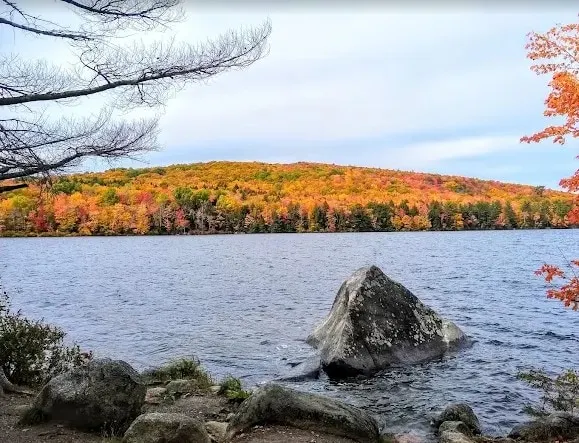 Loon Lodge - Image 1