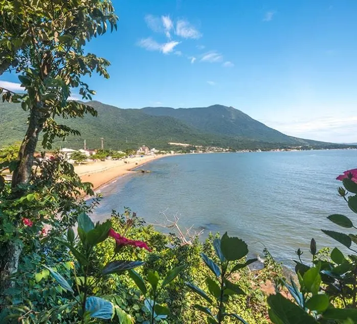 Your apartment on the beach - Image 1