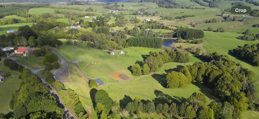 Beechy Forest Retreat - Image 1