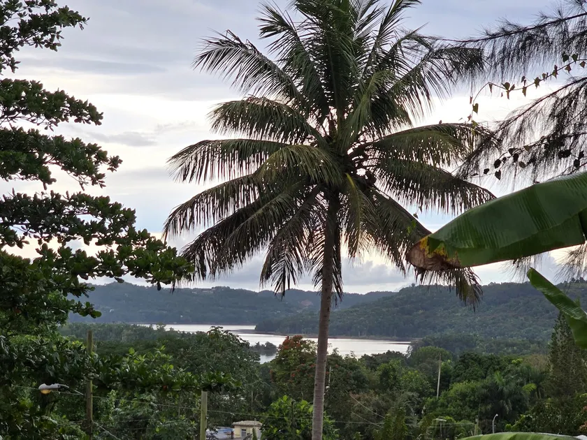 Outback Lake View - Image 1