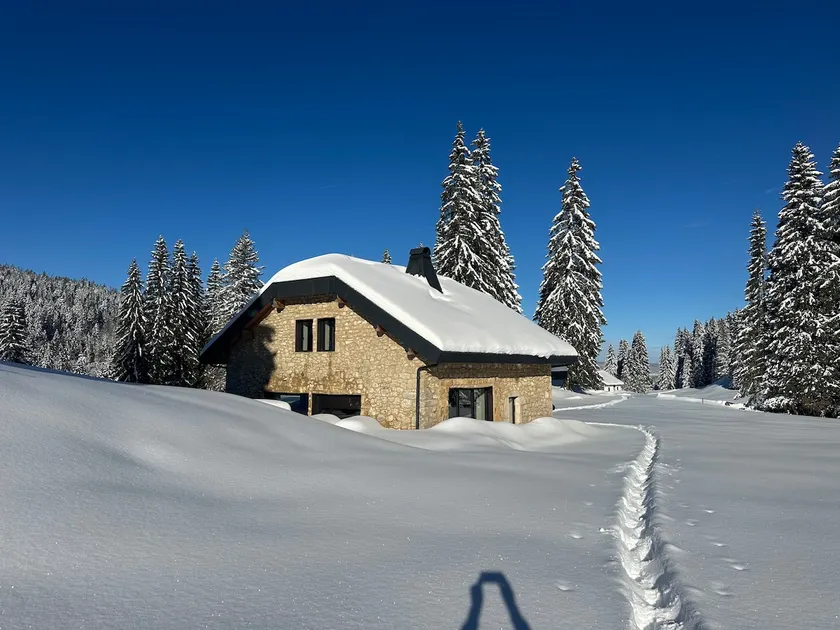 House surrounded by nature - Image 1