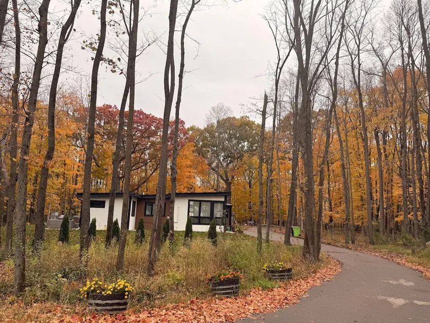 Peaceful Woodland Escape with Hot Tub & Lake Path - Image 1