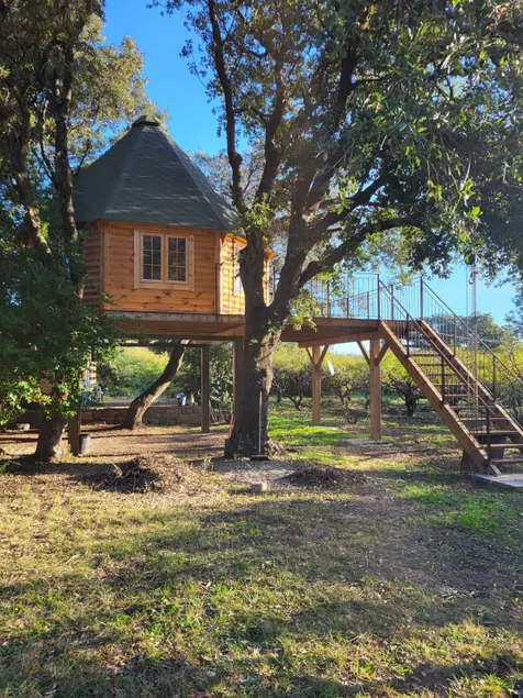 unusual treehouse - Image 1