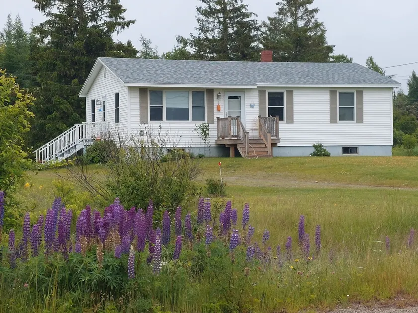 Blueberry Bay - Image 1
