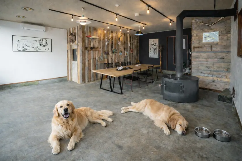 [Entire building] Stay with your dog or pet | Maximum 12 people | Downtown area, base for outdoor activities in the eastern part of the city - Image 1