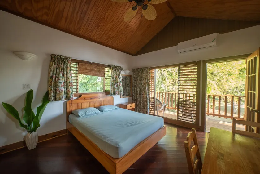 Mango loft at Papaya Beach JA - Image 1