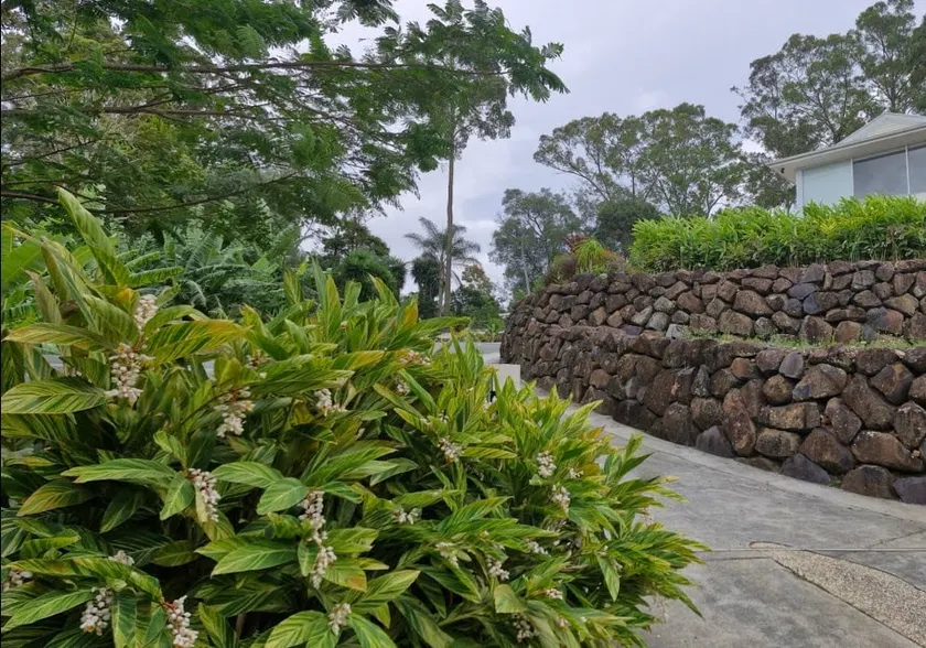 Cosy Scenic Guesthouse in Daisy Hill - Image 1