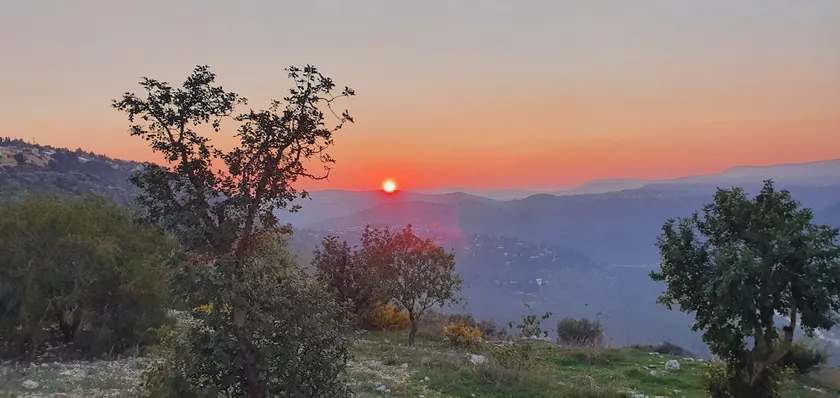 נץ - Image 1
