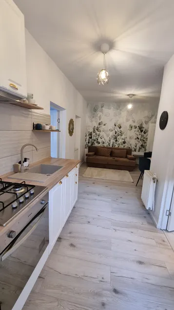 Alecsandri House - Image 1