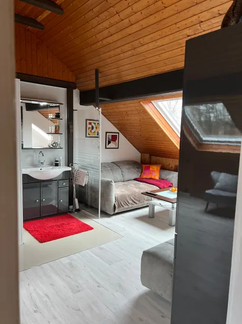 Feel like home in a cozy apartment near the city! - Image 1