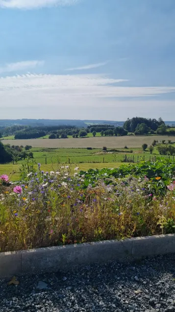 Great new accommodation in the Ardennes - Le Rotchety - Image 1