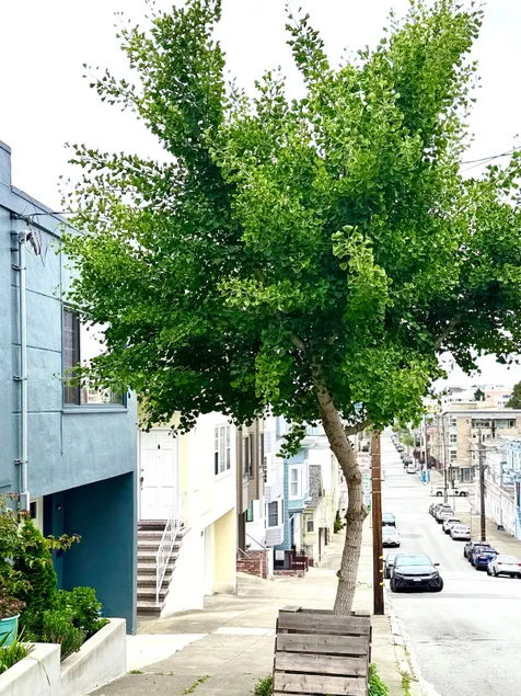 New 2BR/2BA FREE Garage Parking + W/D Near UCSF - Image 1